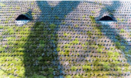 Roof moss removal in Pocklington